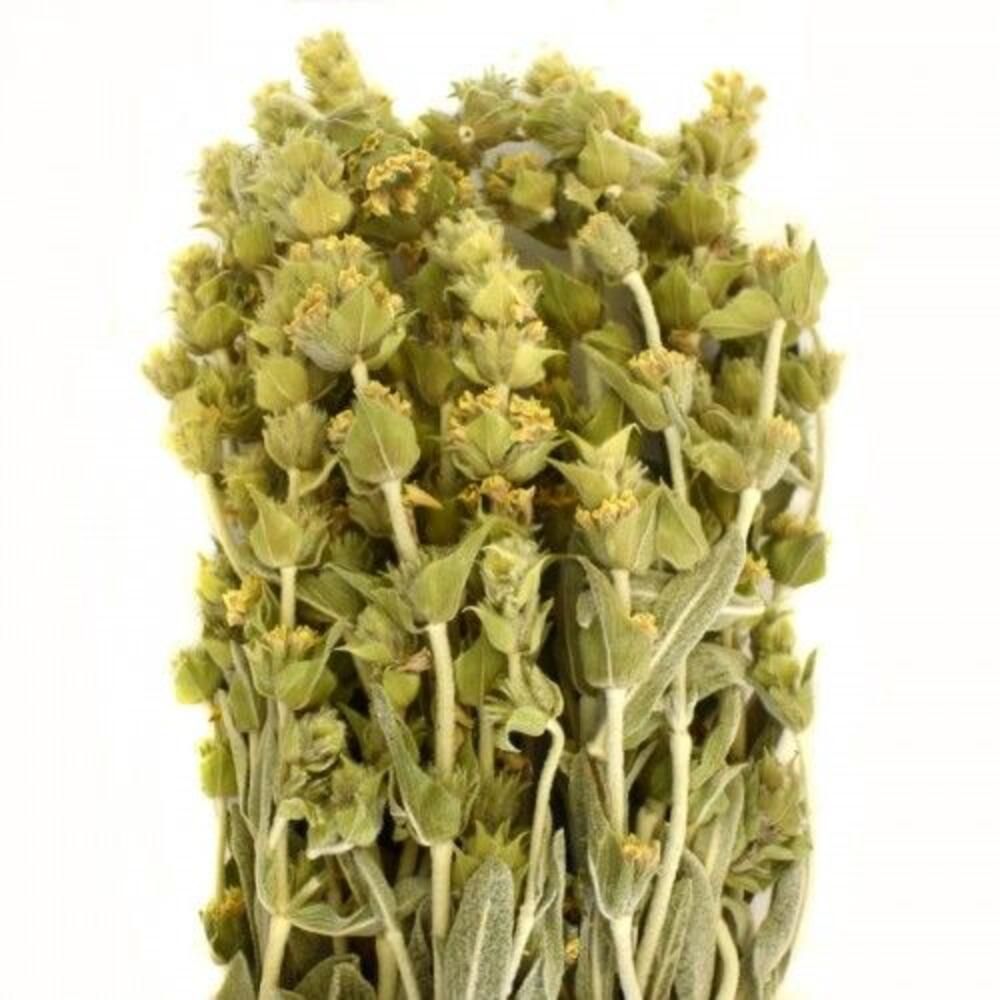 Τσάι Βουνού Άγριο Ματσάκι