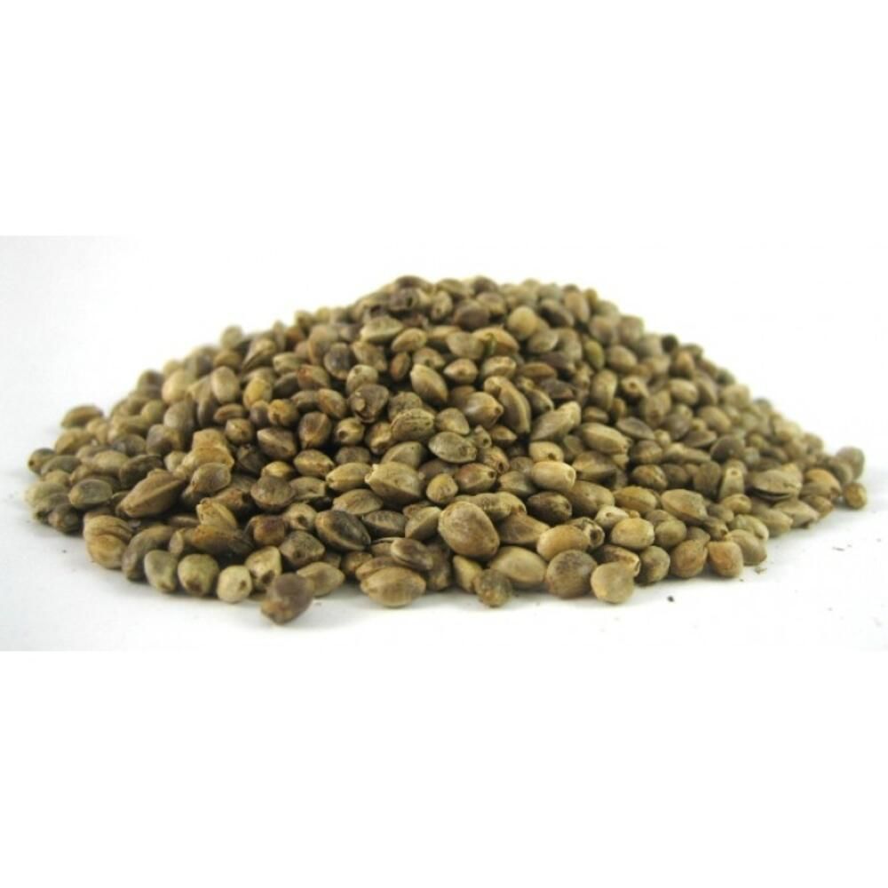 Hemp Seeds bio 250 γρ.