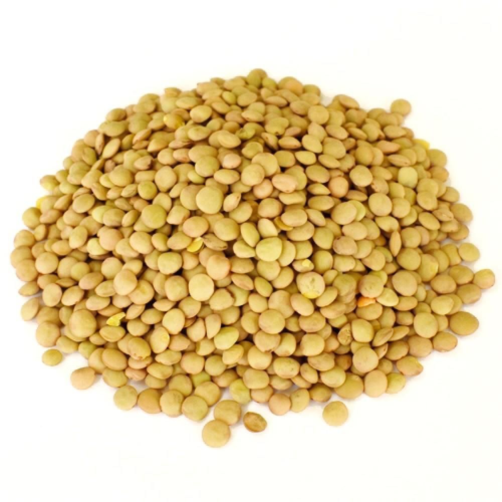 Φακές Μέτριες Φαρσάλων Χύμα 500 γρ.