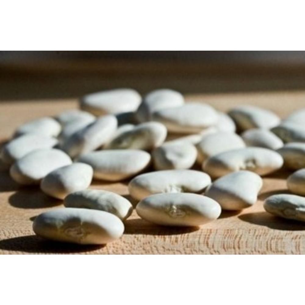 Ελέφαντες ΠΕΛΕΚΑΝΟΣ Χύμα 500γρ.