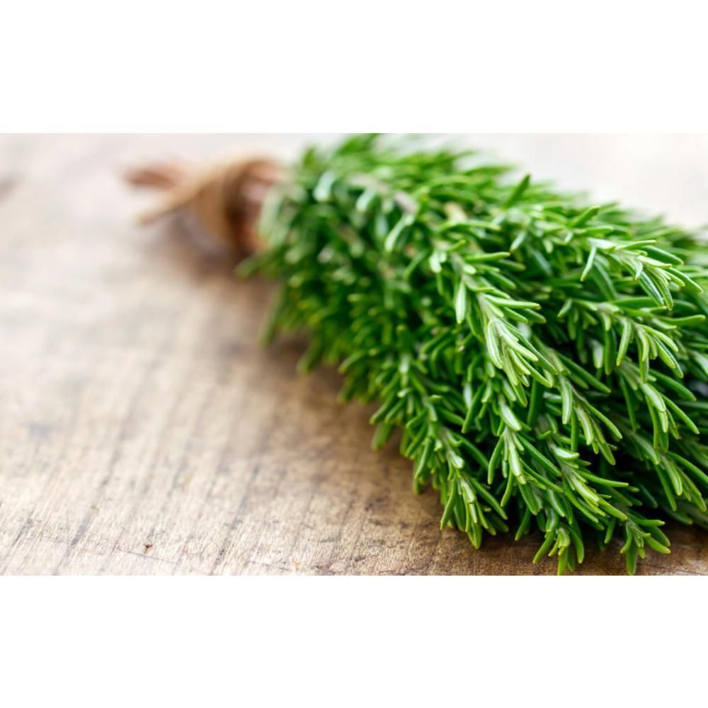 Δενδρολίβανο 50 γρ.